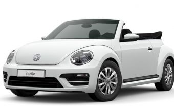 beetle